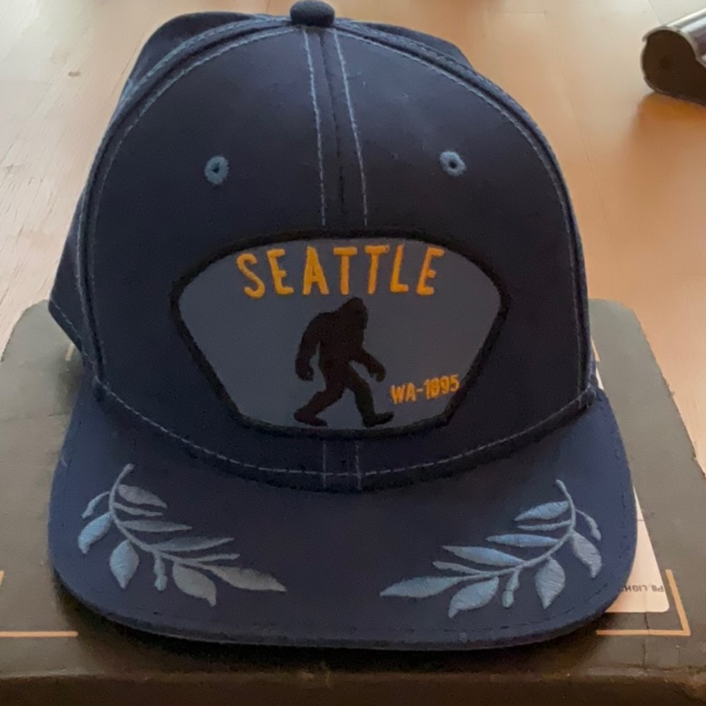 Goorin Bros hat City Line - Seattle
